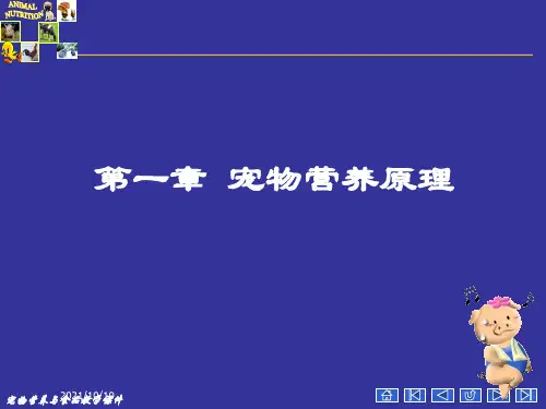 宠物营养学基本知识(能量与宠物营养)