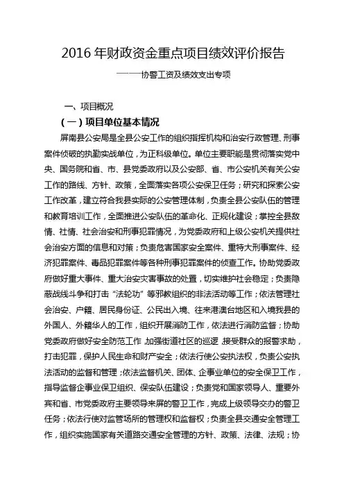 2016年财政资金重点项目绩效评价报告
