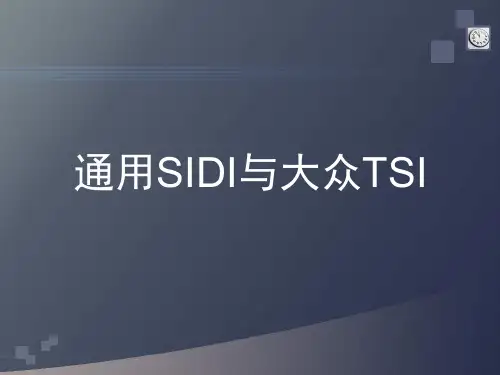 通用SIDI与大众TSI资料