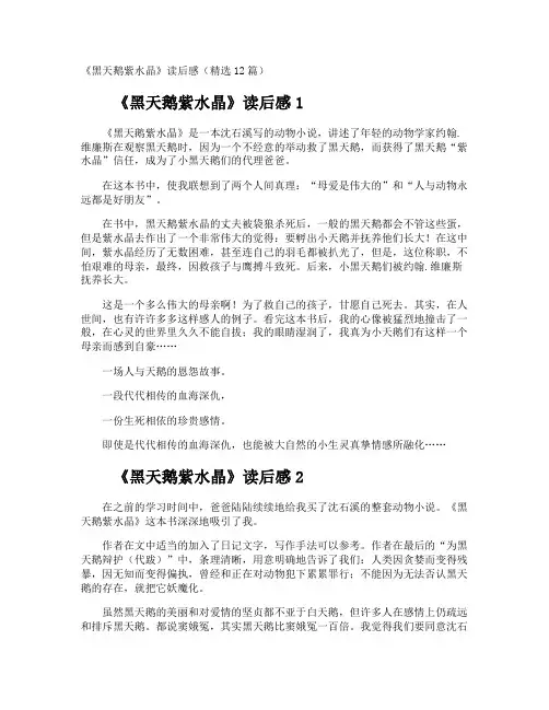 《黑天鹅紫水晶》读后感