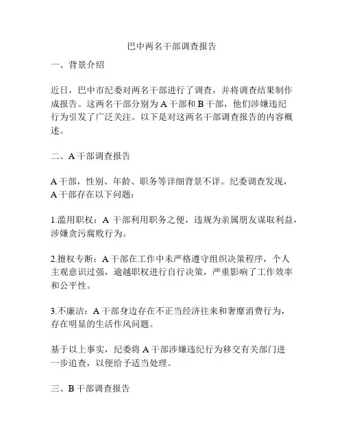 巴中两名干部调查报告