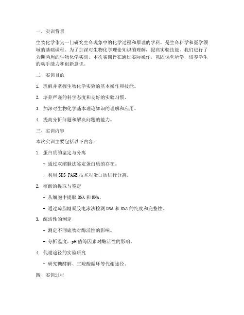 生物化学的实训报告