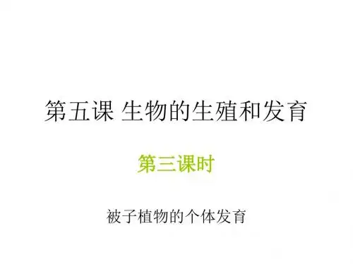 09届高三生物被子植物的个体发育(中学课件201908)