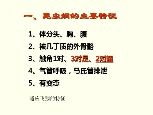 昆虫纲分类(实验用)解答