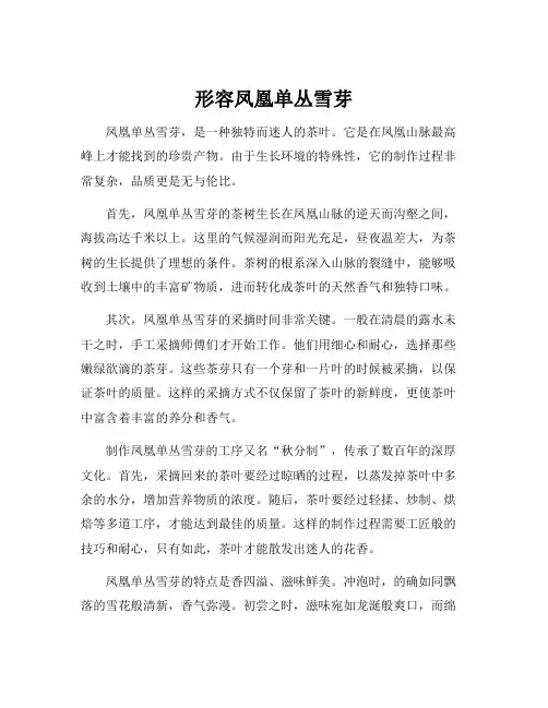 形容凤凰单丛雪芽