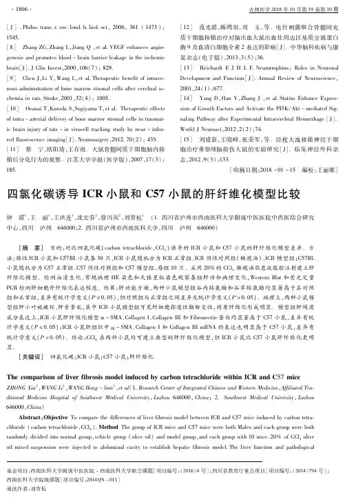 四氯化碳诱导ICR小鼠和C57小鼠的肝纤维化模型比较