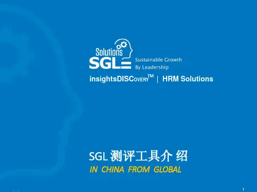 SGL DISC 人才测评工具
