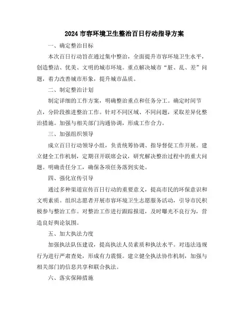 2024市容环境卫生整治百日行动指导方案