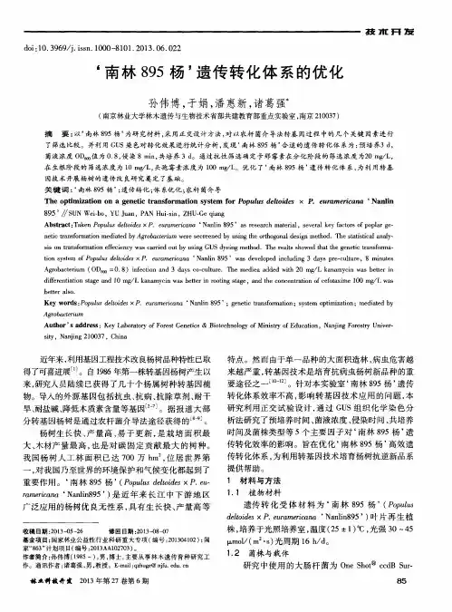 ‘南林895杨’遗传转化体系的优化