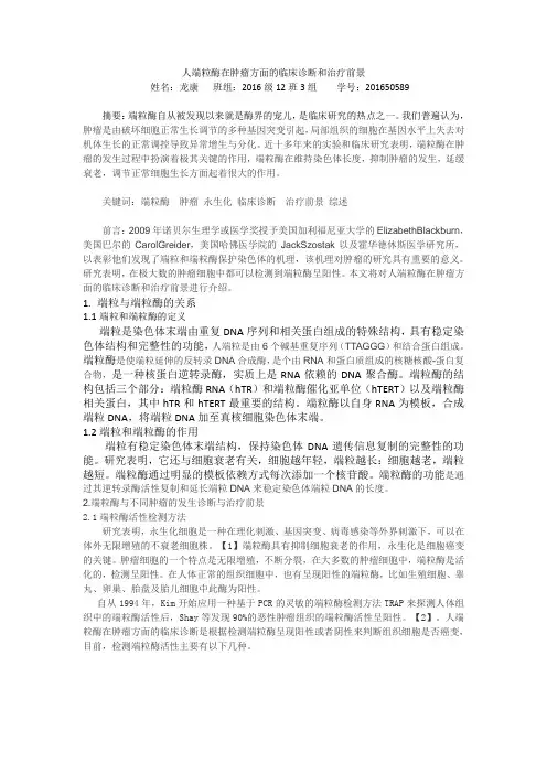 人端粒酶在肿瘤方面的临床诊断和治疗前景