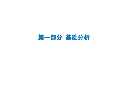 新区定位报告汇报PPT