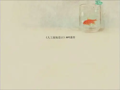 《人工湿地设计》PPT课件