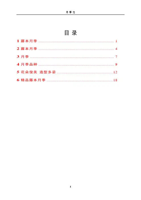 月季花观赏与栽培