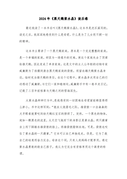 2024年《黑天鹅紫水晶》读后感(2篇)