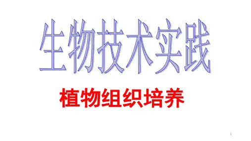 植物组织培养PPT