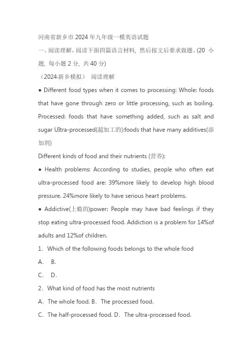 河南省新乡市2024年九年级一模英语试题(含答案)