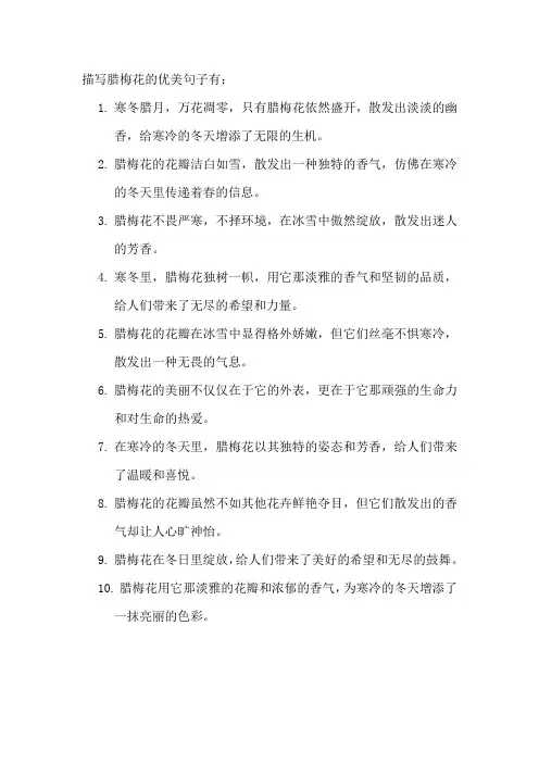 描写腊梅花的优美句子