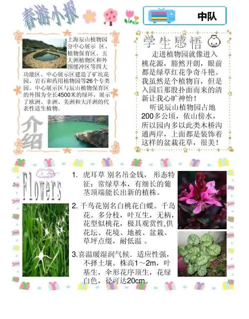 7(4)春游小报(辰山植物园)  2