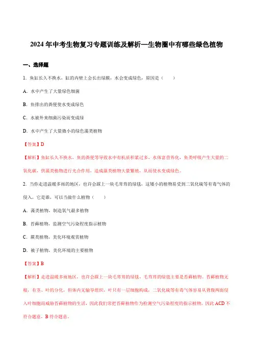 2024年中考生物复习专题训练及解析—生物圈中有哪些绿色植物
