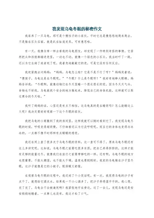 我发现乌龟冬眠的秘密作文