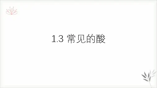 九年级上科学《常见的酸》演示课件浙教版