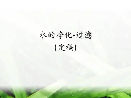水的净化-过滤(定稿)ppt课件