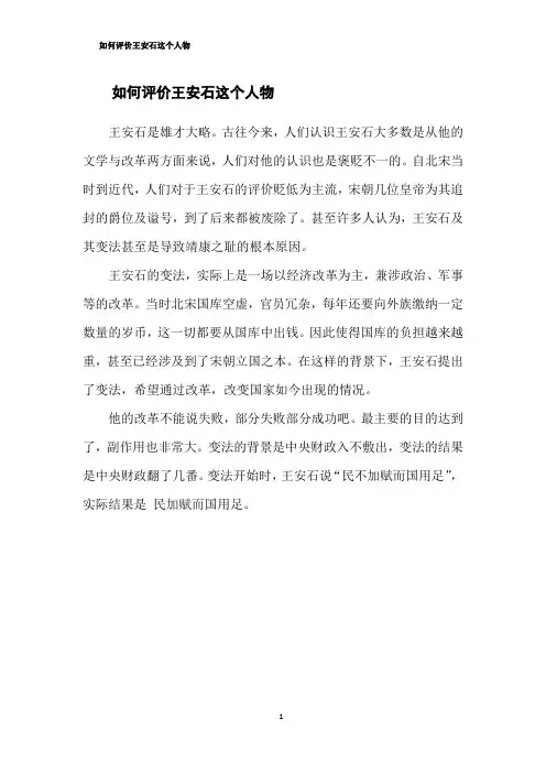 如何评价王安石这个人物