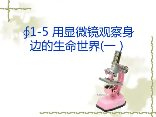 最新教科版科学六年级下册《用显微镜观察身边的生命世界》精品课件