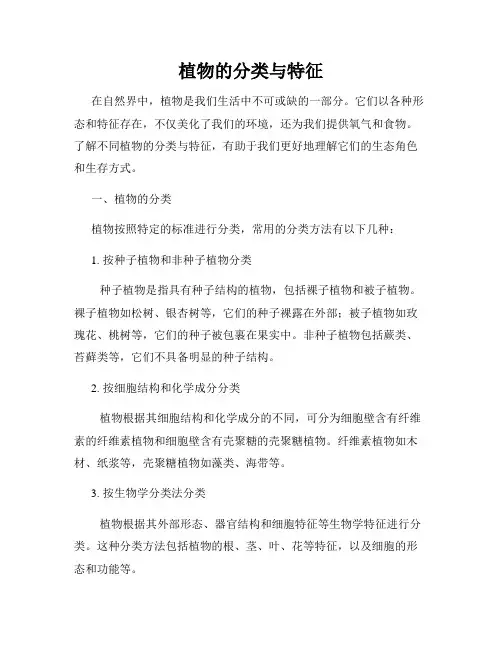 植物的分类与特征