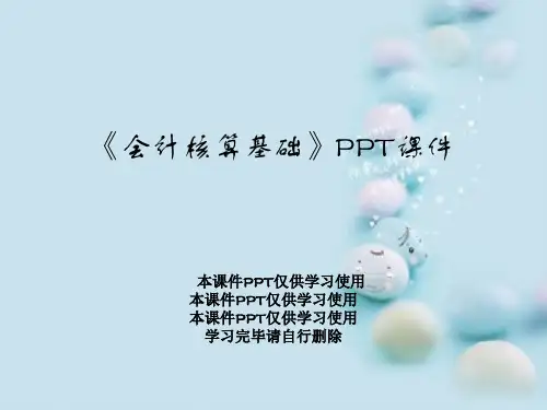 《会计核算基础》PPT课件
