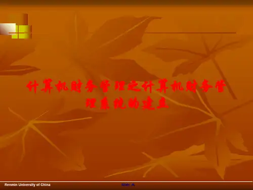计算机财务管理之计算机财务管理系统的建立课件