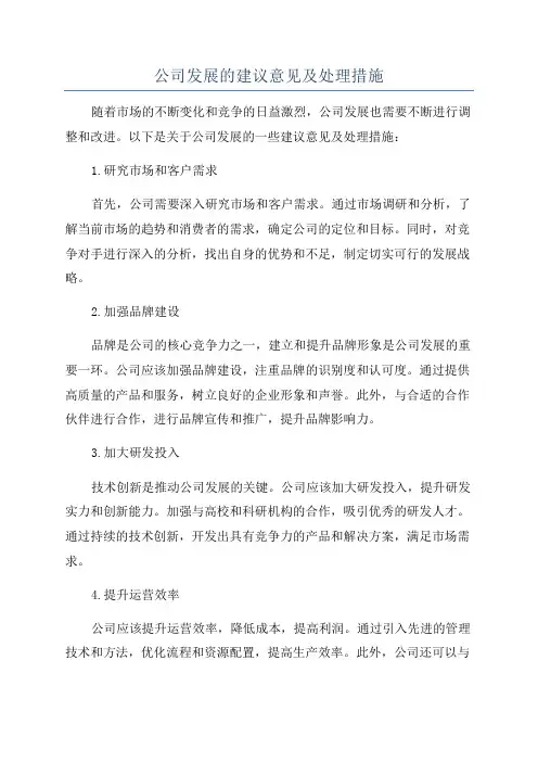 公司发展的建议意见及处理措施