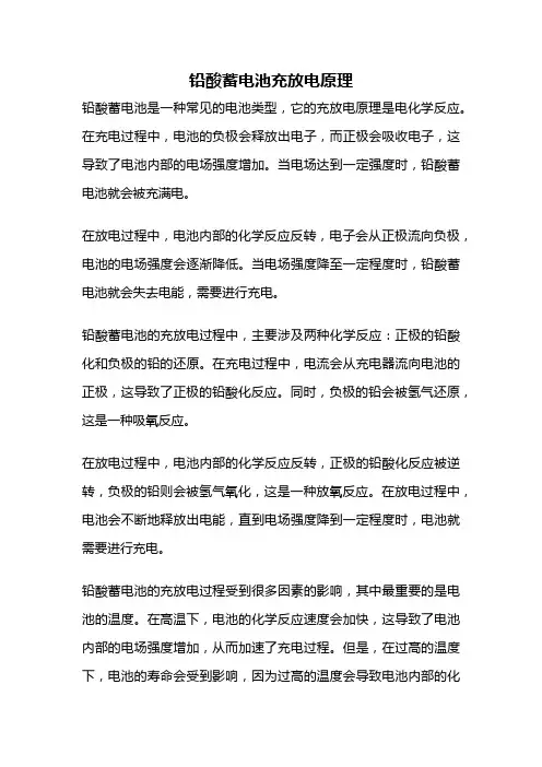铅酸蓄电池充放电原理