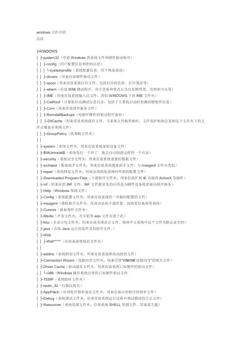 windows文件介绍