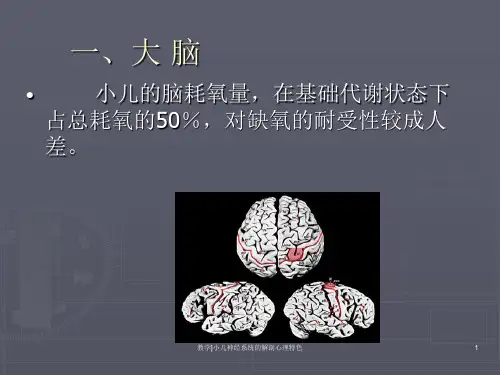 教学小儿神经系统的解剖心理特色课件