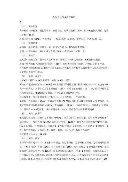 各恒牙牙根及根管解剖