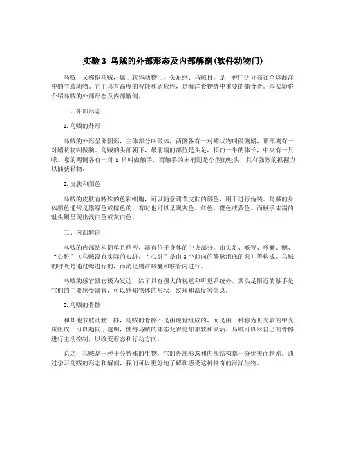 实验3 乌贼的外部形态及内部解剖(软件动物门)
