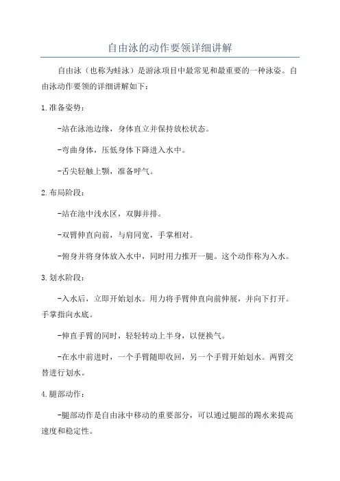自由泳的动作要领详细讲解
