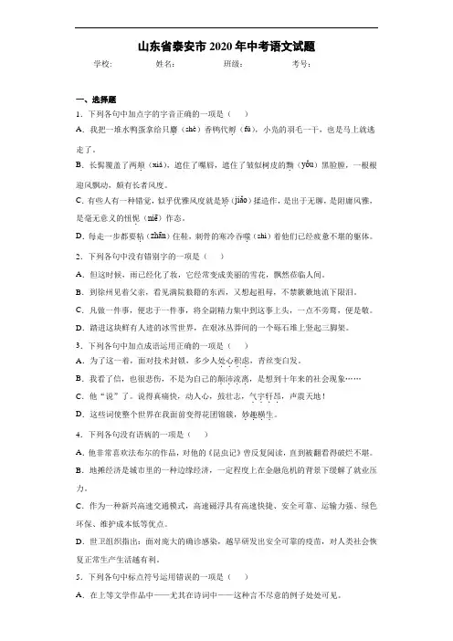 山东省泰安市2020年中考语文试题