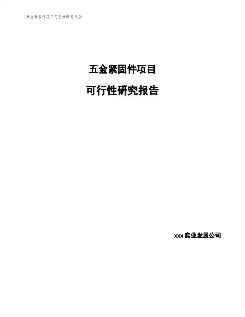 五金紧固件项目可行性研究报告