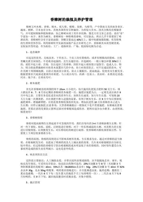 香樟树的栽植及养护管理