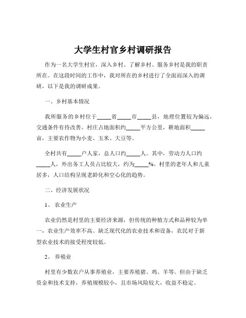 大学生村官乡村调研报告