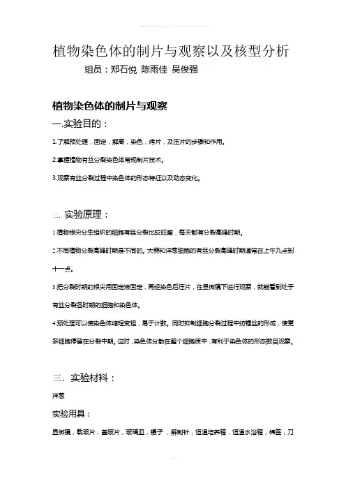 植物染色体的制片与观察