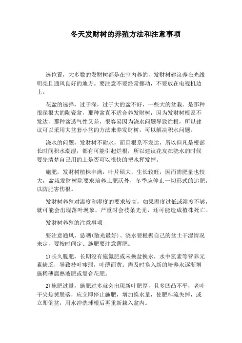 冬天发财树的养殖方法和注意事项