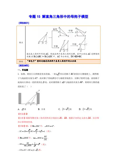 中考数学难点突破与经典模型精讲练解直角三角形中的母抱子模型(解析版)