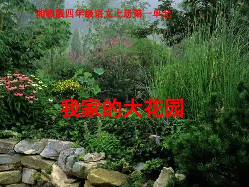 湘教版四年级上册我家的大花园课件2精品课件
