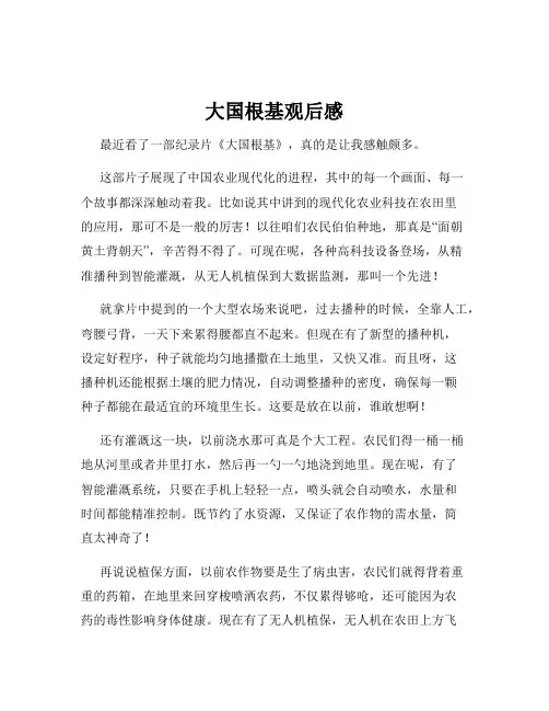 大国根基观后感
