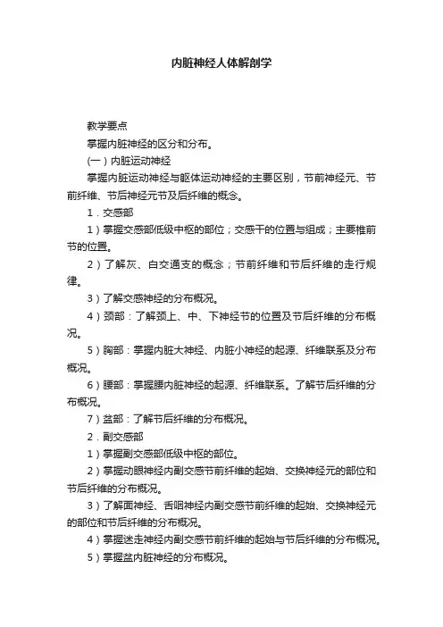 内脏神经人体解剖学