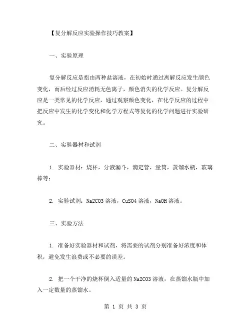 复分解反应实验操作技巧教案：化学专题复习