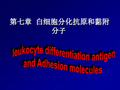 第7章 白细胞分化抗原和粘附分子